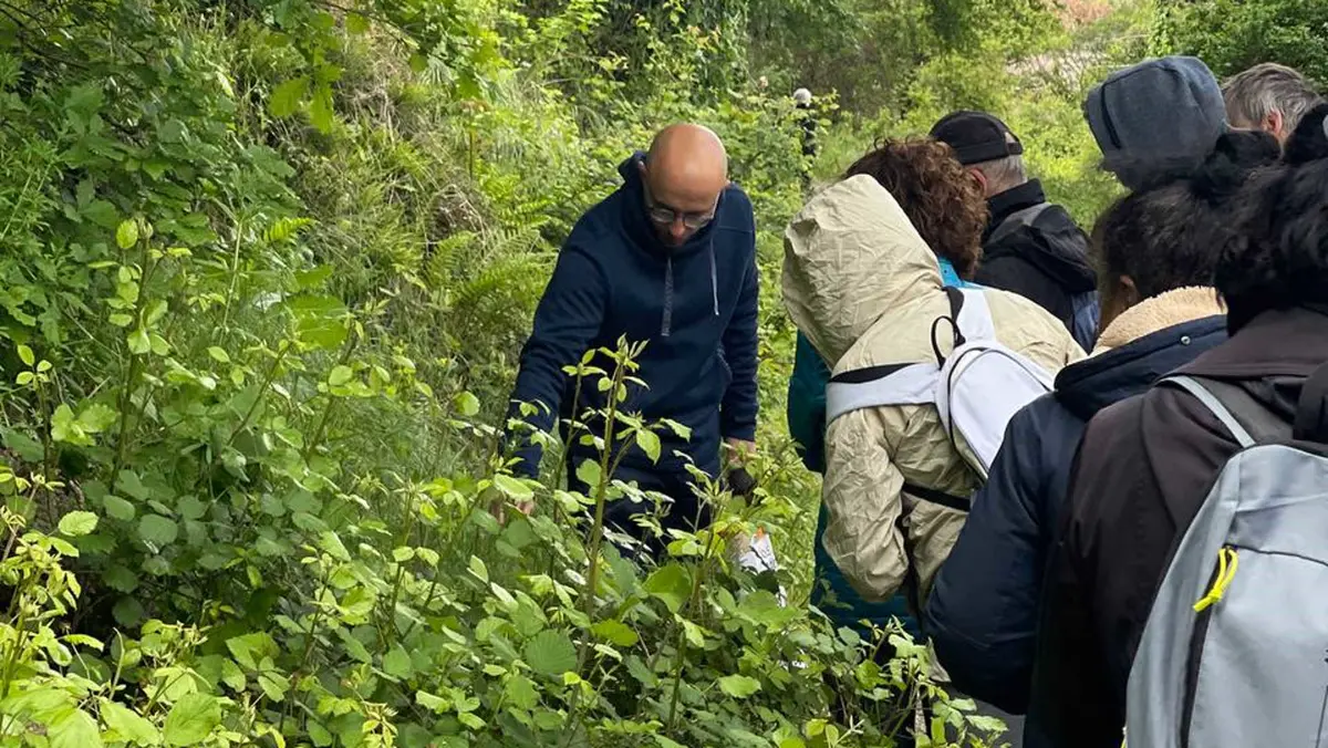 Fabrice au milieu de la végétation, montrant une plante à un groupe en balade