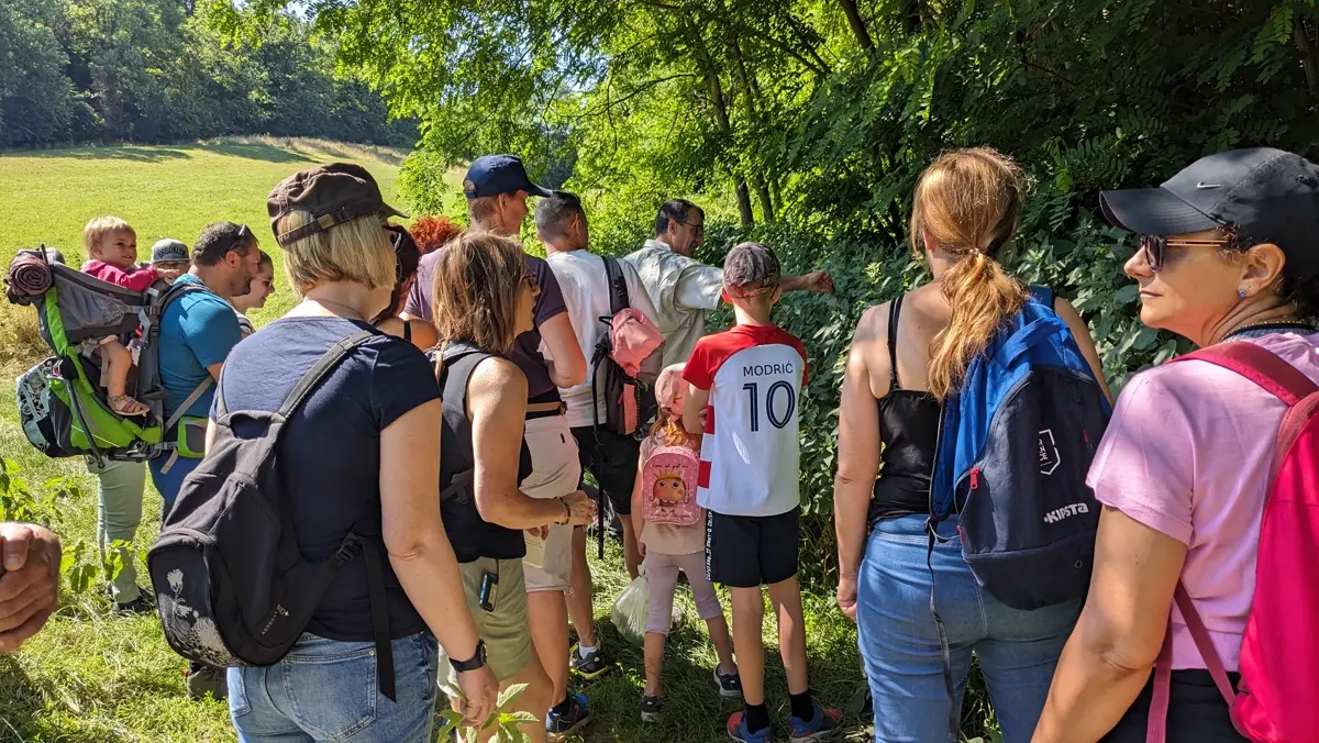 Un groupe de tous âges réuni en lisière d'arbres pendant une sortie plantes sauvages